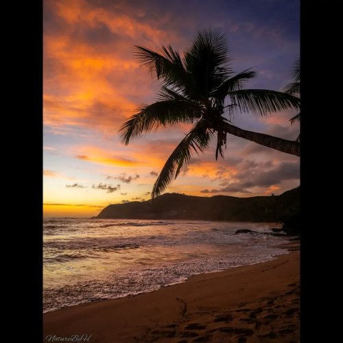 Photo post from naturebyh.