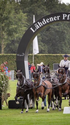 Video post from fei_global.