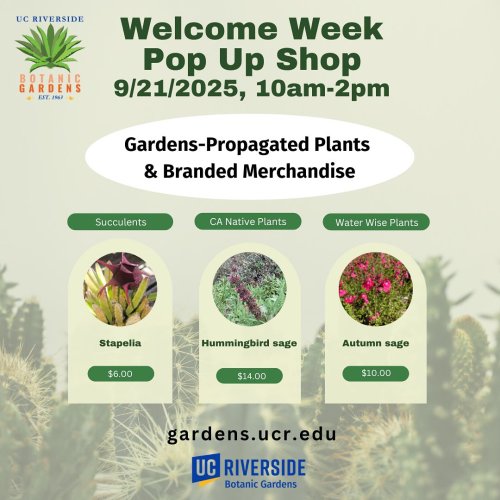 Carousel post from ucrbotanicgardens.