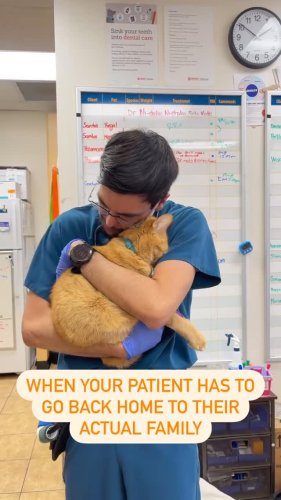 Video post from banfieldpethospital.
