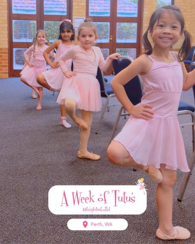 Carousel post from tinytutusballet.