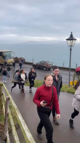 Video post from dinglepeninsulatourism.
