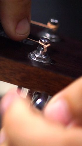 Video post from miyatamusic.