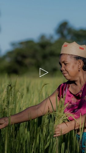 Video post from unops_official.