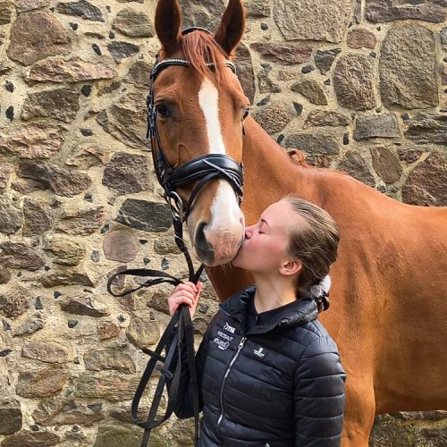 Photo post from ls.paradressage.