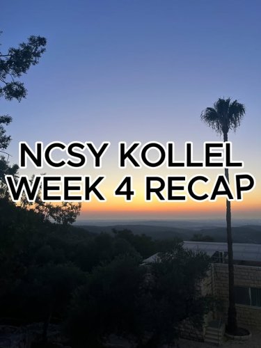 Video post from ncsykollel.