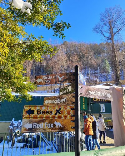 Carousel post from key_sanveg.