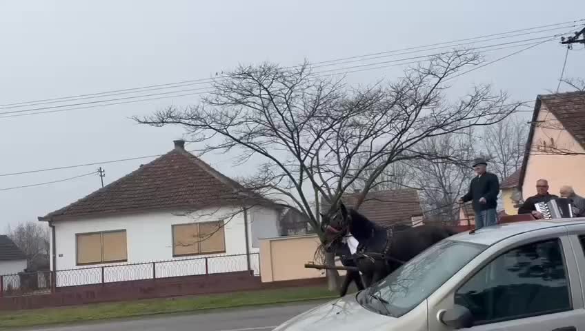 Carousel post from sremskatelevizija.
