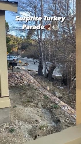 Video post from visittucson.