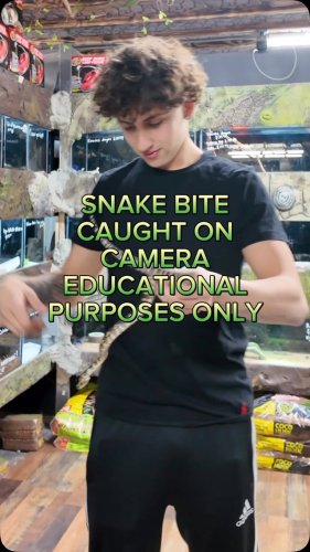 Video post from njexoticpets.