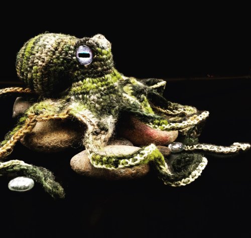 Photo post from dordognedragons.