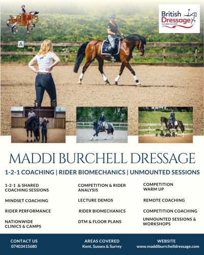 Photo post from mbddressage.