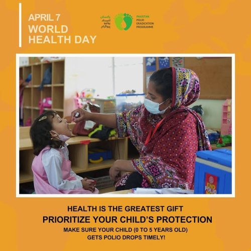 Video post from pakfightspolio.