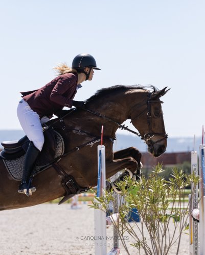 Carousel post from cmarques_photography.