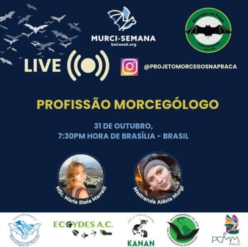 Photo post from murcisemana_oficial.