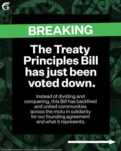 Carousel post from nzgreenparty.