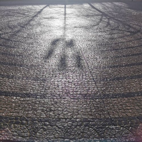 Photo post from visit.magdeburg.