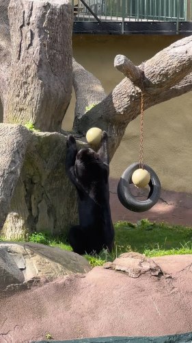 Video post from obermountain.