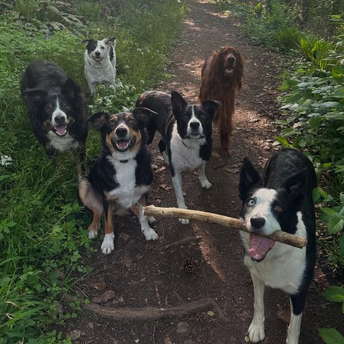 Photo post from pipsadventurewalks.