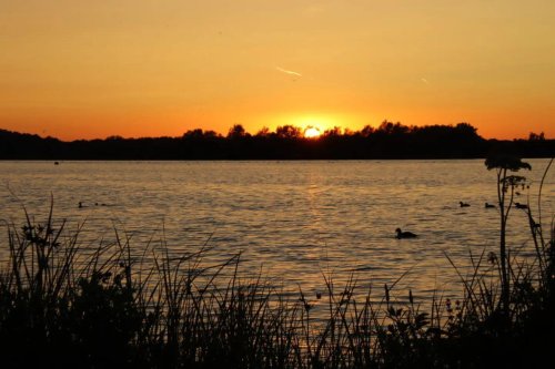 Photo post from ditiskatwijk.