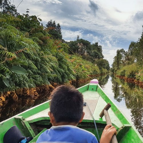 Photo post from unops_official.