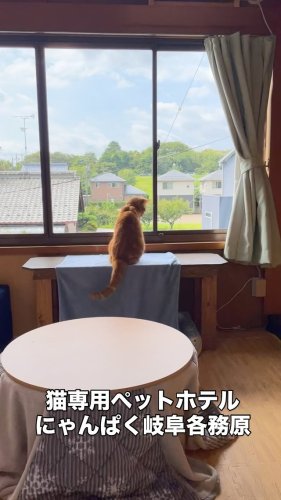 Video post.