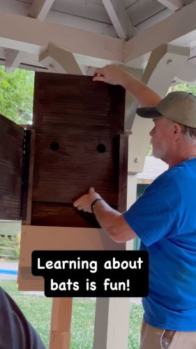 Video post from parttimeparkers.
