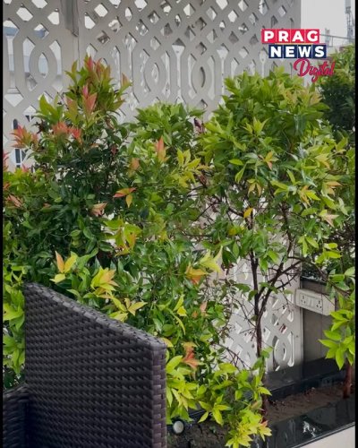 Video post from pragnewsofficial.