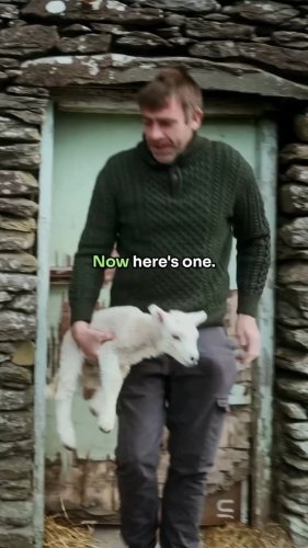 Video post from dinglepeninsulatourism.