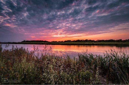 Photo post from visit.magdeburg.