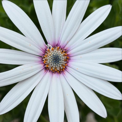 Photo post from gardenhousebrighton.