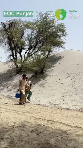 Video post from pakfightspolio.