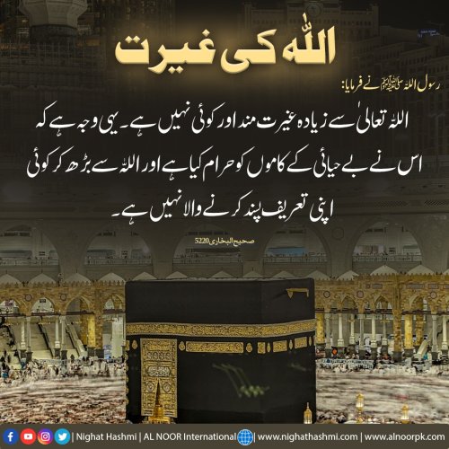 Photo post from nighathashmi.