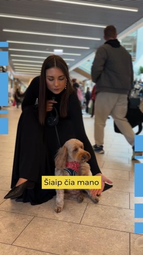 Video post from panorama.lt.