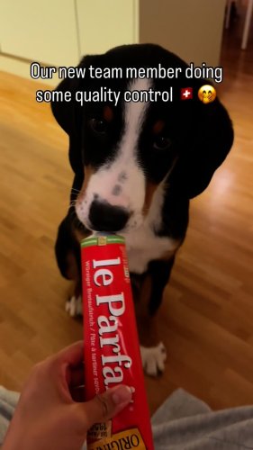Video post from swiss_food_box.