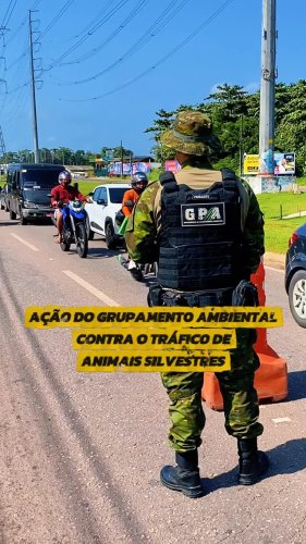 Video post from ananindeuapma.