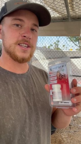 Video post from desertkingsfalconry.