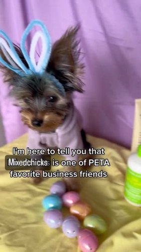 Video post from mixedchickshair.