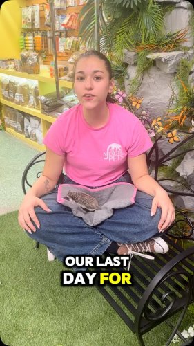 Video post from njexoticpets.
