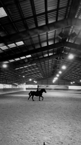 Video post from dxdequestrian.