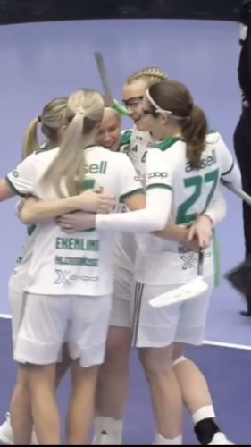 Video post from kauppitwins.