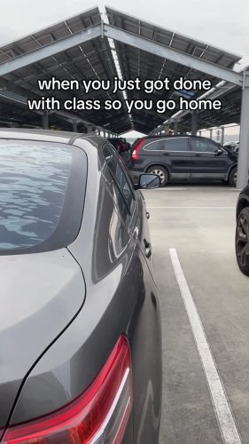 Video post from monashcoding.