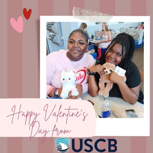 Photo post from uscbeaufort.