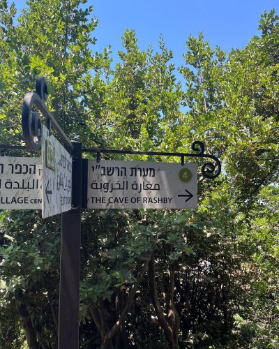 Carousel post from ncsyisraelid.