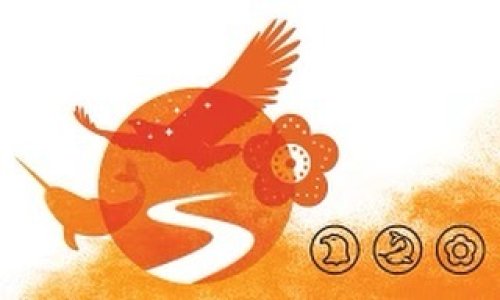 Photo post from blazersvolleyballacademy.