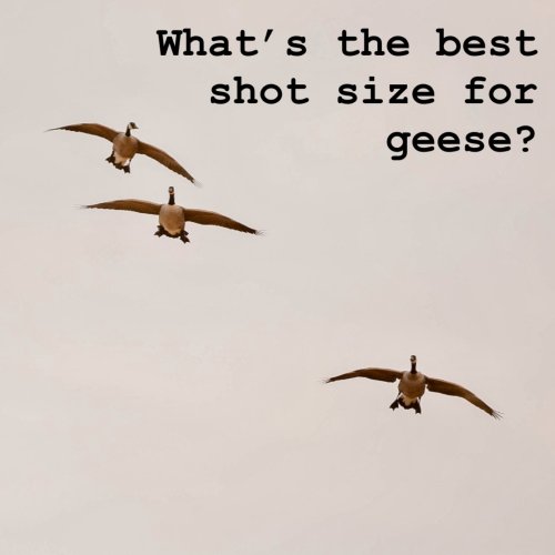 Photo post from northernskiesoutfitters.