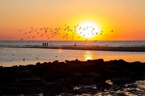 Photo post from ditiskatwijk.