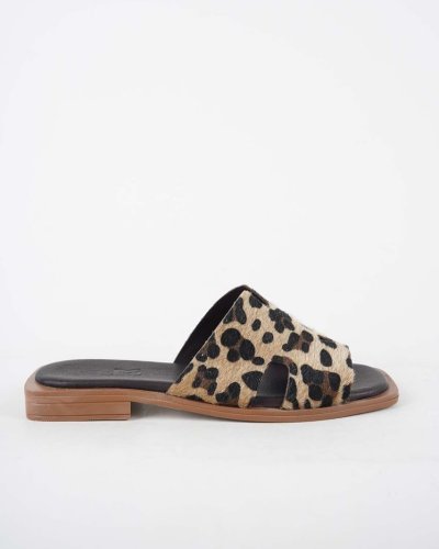 Carousel post from ossoshoes.