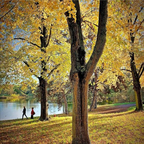 Photo post from visit.magdeburg.