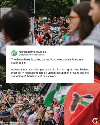 Carousel post from nzgreenparty.